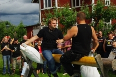 sommar_09_285_20100610_1291268776